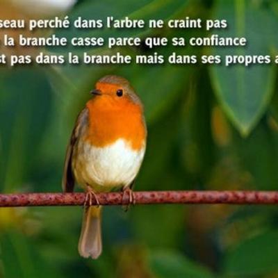 La confiance