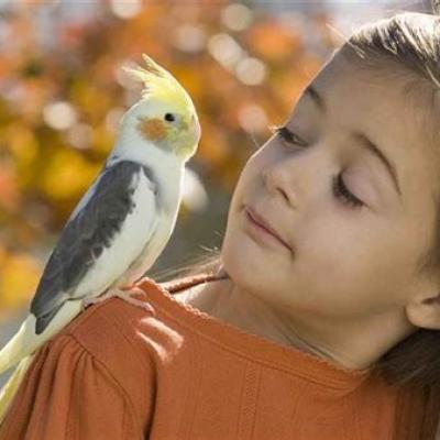 L'individuation