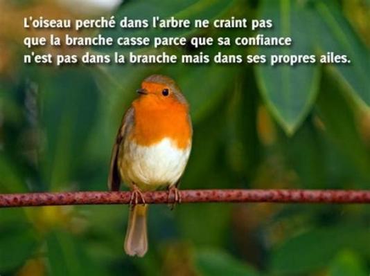 La confiance