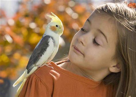 Oiseau et enfant